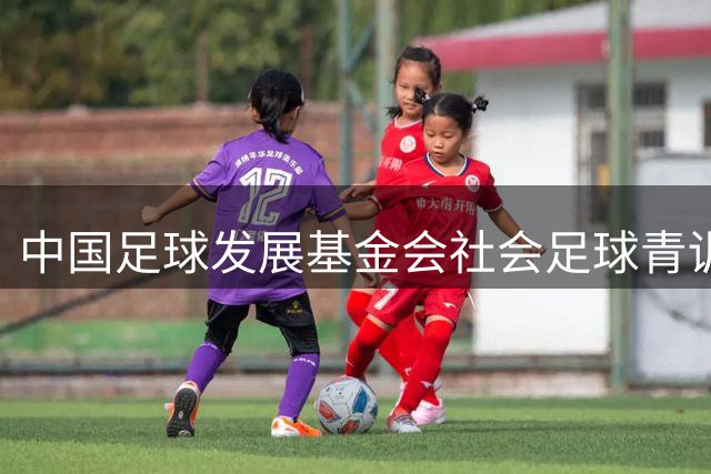中国足球发展基金会社会足球青训质量提升行动计划签约活动举行